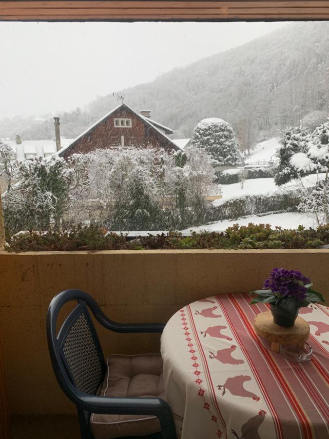 Appartement Vue Montagne Avec Wifi サン・ラリー・スラン エクステリア 写真