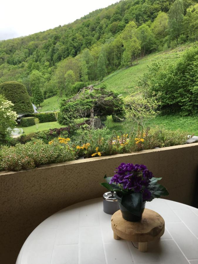 Appartement Vue Montagne Avec Wifi サン・ラリー・スラン エクステリア 写真